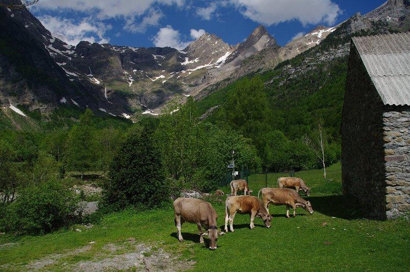 Bungalows Pena Montanesa อาอินซา ภายนอก รูปภาพ